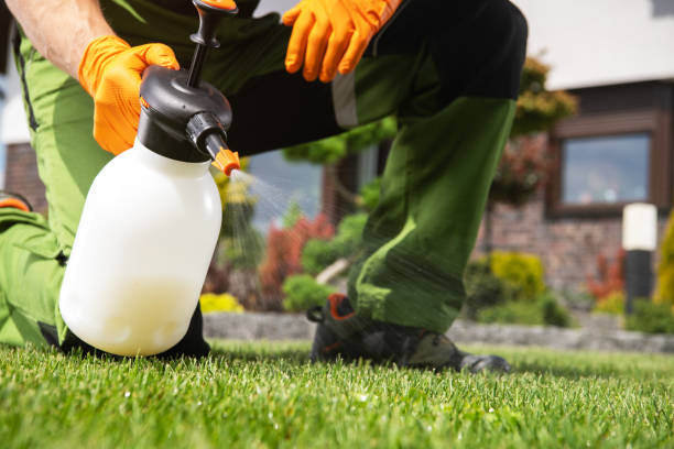 Best Flea Control Services  in Shawnee Hills, OH