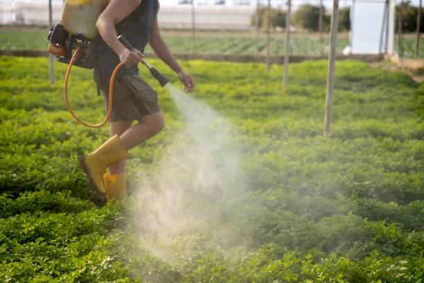 Best Affordable Pest Control Services  in Shawnee Hills, OH