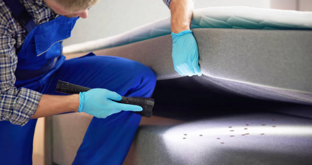 Best Pest Control Near Me  in Shawnee Hills, OH