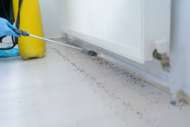 Best Pest Control Near Me  in Shawnee Hills, OH