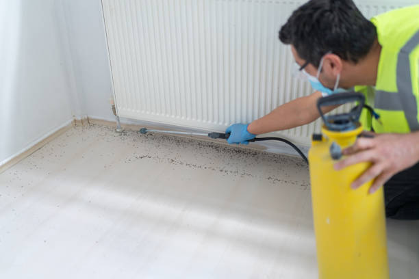 Best Bed Bug Extermination  in Shawnee Hills, OH